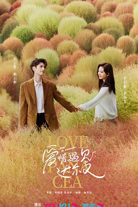 老牌seo首页优化推广营销